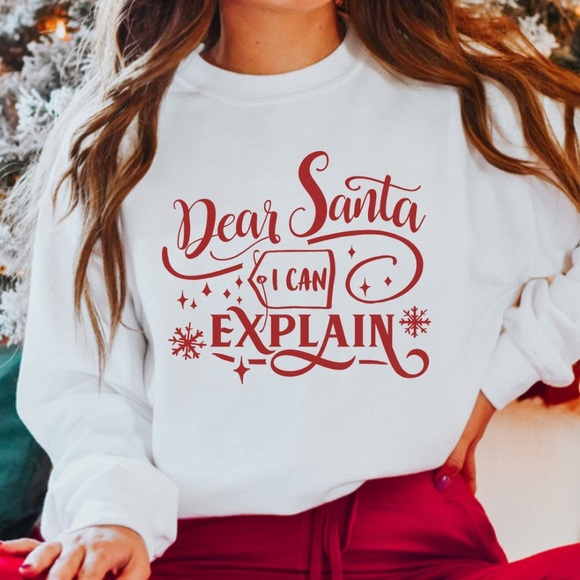 Dear Santa I can explain Funny Christmas Crewneck Sweatshirt S-5X - Picture 1 of 2